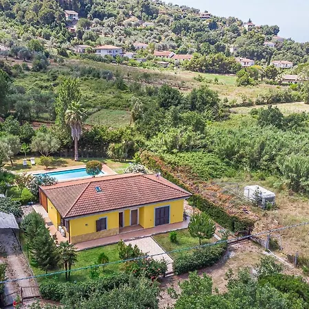 Dream * モンテコーリチェ