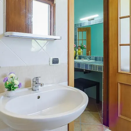 Dream * モンテコーリチェ